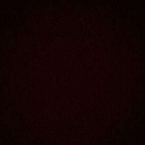 Meet your Posher, Kyler